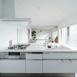 Simple modern style kitchen in white