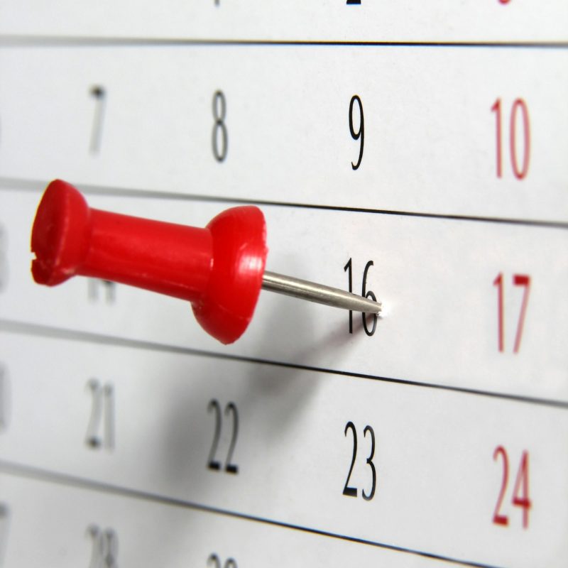 Appointments marked on calendar